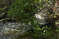 pict1692.jpg