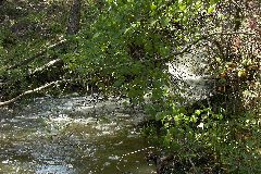 pict1693.jpg
