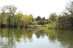 pict1707.jpg