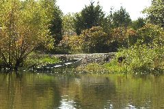 pict1708.jpg