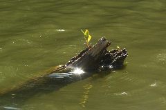 pict1721.jpg