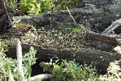 pict1729.jpg