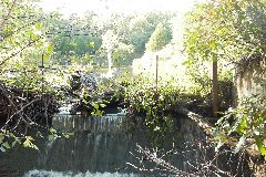 pict1730.jpg