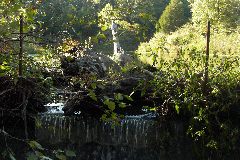 pict1731.jpg