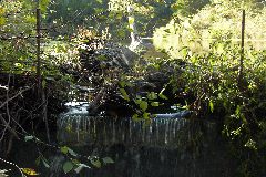 pict1732.jpg