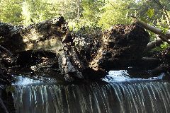 pict1733.jpg