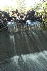 pict1734.jpg