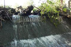 pict1735.jpg