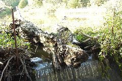 pict1736.jpg
