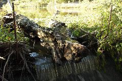 pict1737.jpg