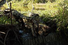 pict1738.jpg