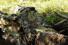 pict1739.jpg