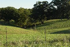 pict1746.jpg