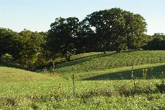 pict1747.jpg