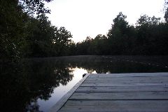 pict1755.jpg