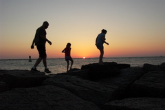 pict0863.jpg