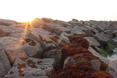 pict0880.jpg