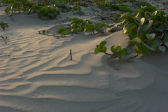 pict1148.jpg